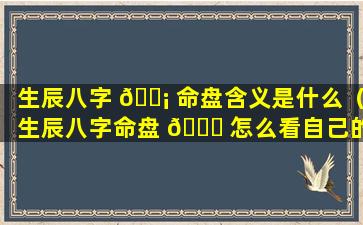 生辰八字 🐡 命盘含义是什么（生辰八字命盘 🐘 怎么看自己的命）